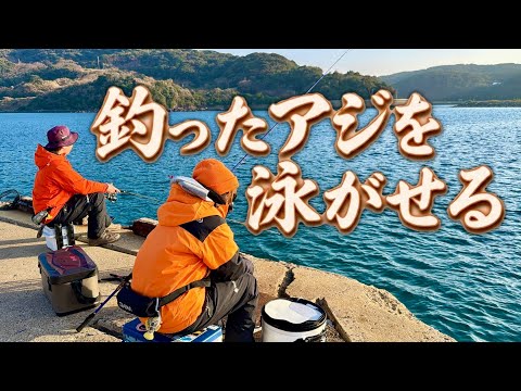 早速ウキに反応が❗️釣りプロ旦那が釣ったアジを嫁ッピがブッ込んで大物を狙います‼️