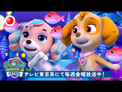 🔴 ライブ: パウ・パトロールのマーメイドレスキュー＆オーシャンアドベンチャー！ 🌊 スカイ、マーシャル、コーラルと一緒に パウ