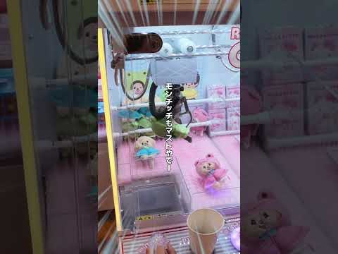 妙にクレーンゲームに自信のある家族のとある日のクレゲ日記。どうしてもウッディが欲しい・・#shorts