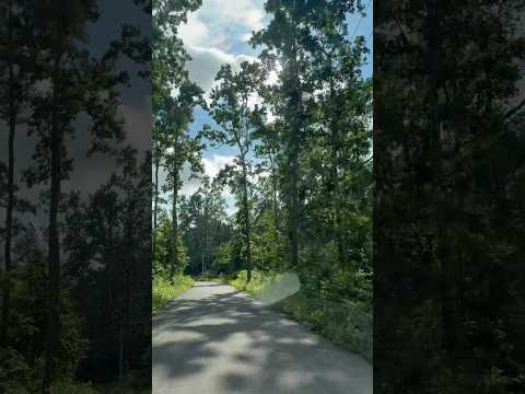 Jaam kyare udera🌱 #youtubeshorts #foryou #nepalisong #travel #trending