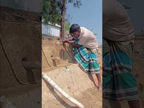 #shortvideo #funny video #comedy video #viralvideo