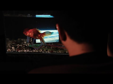 UMIDIGI BISON - Brighten the Underwater World
