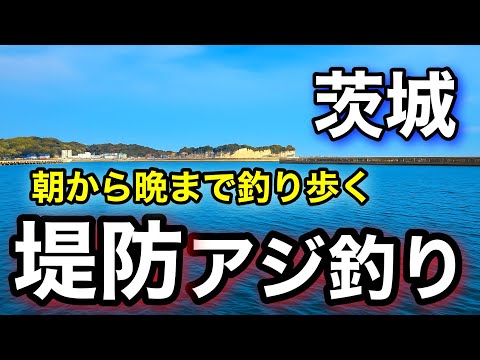 【茨城釣り】9月の漁港を良型アジ狙いに朝から晩まで釣り歩いたら..2025.9
