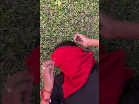 मालामाल हो गया अब तो 😎 #comedy #funny #entertainment #husbandwifejokes #bundeli #youtube #shorts