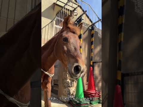 ふれあい広場カカバのカッピー