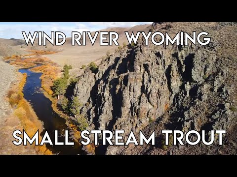 Wind River Small Stream Trout