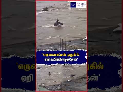 'எருமைமாட்டின் முதுகில் ஏறி உயிர்பிழைத்தேன்' #nepalam #Nepal #<strong>Man</strong> #buffalo #NepalFloods #<strong>viral</strong>