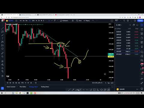 200$ Du Ký： Tập 12   Khắc phục tâm lý FOMO   Rèn luyện kỹ năng trading