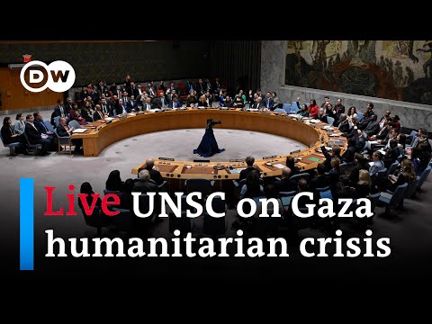 Watch Live: United Nations Security Council discusses Gaza humanitarian crisis | DW News
