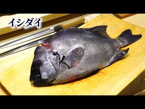 【板前が教える】イシダイの捌き方