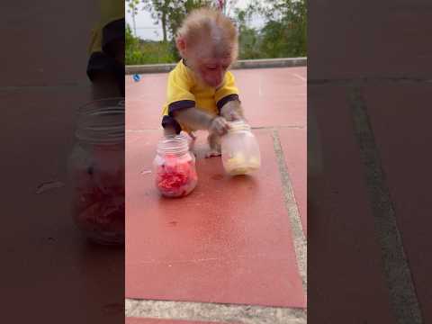 Bibi is very smart🤭