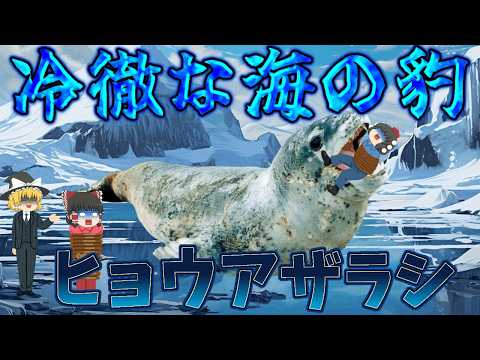 【ゆっくり解説】冷徹な海の豹！ヒョウアザラシ