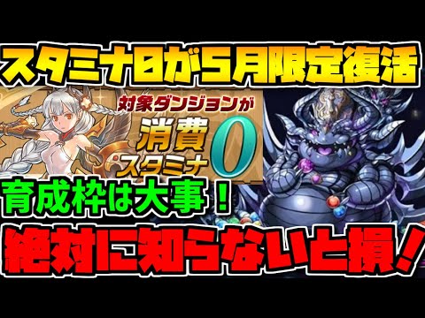 【必ず見て】スタミナ0が帰ってきた！知らないと損な情報解説！【パズドラ】