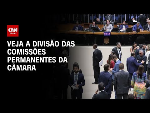 ​União Brasil comandará Comissão de Constituição e Justiça da Câmara | CNN 360°