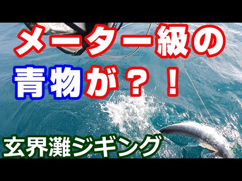 玄界灘でメートル級の青物を！