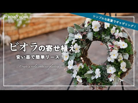 【簡単＆かわいい】90円ビオラでリースのギャザリング・作り方と管理方法【寄せ植え】