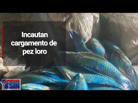 #PrimeraEmisión: Esperan bañistas y precios de ingredientes