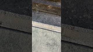 〚12月16日の溝〛ジャンクフードはんまいね🍔🍟 #雑談 #休憩 #shorts