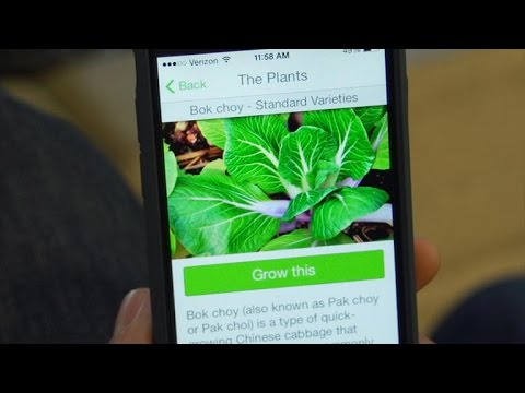 Tech Minute - Gardening Apps - UCOmcA3f_RrH6b9NmcNa4tdg