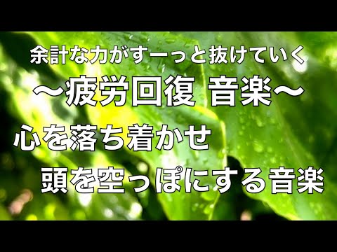 【心を落ち着かせ 頭を空っぽにする音楽】 余計な力がすーっと抜けていく ヒーリング音楽・疲労回復音楽 眠る前に聴く曲 自律神経を整える音楽 心が落ち着く音楽 睡眠音楽 リラックス音楽 波の音
