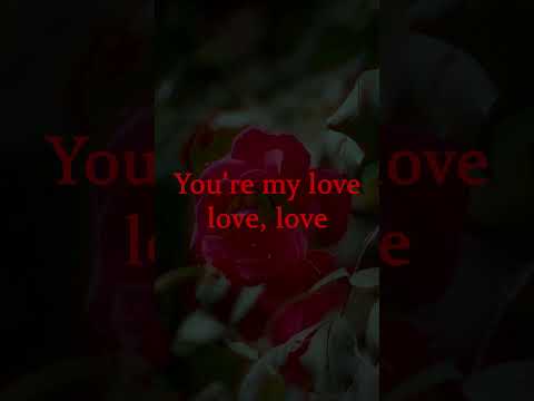 Lio Lai - Mi Amor #music #ytmusic #song