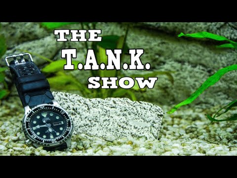 🔴$1 Store Aquarium Items -The T.A.N.K Show - Aq Bring us your aquarium questions and top off your T.A.N.K. (Time Acquiring New Knowledge) With Chatt