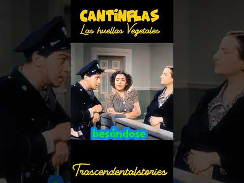 Cantinflas… cualquier parecido.