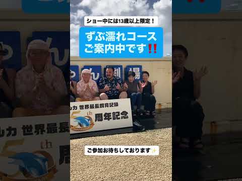 沖縄美ら海水族館の人気スプラッシュタイムを楽しもう サムネイル