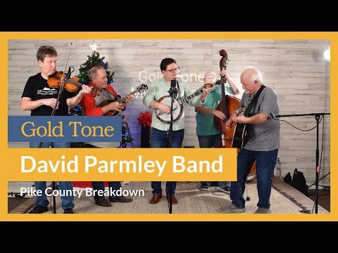 David Parmley Band Performs 