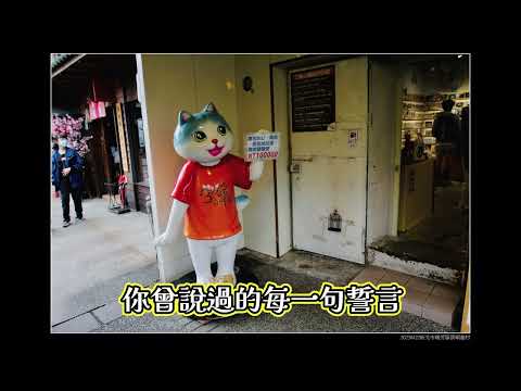 愛情的承諾 (新北市瑞芳區 侯硐貓村)