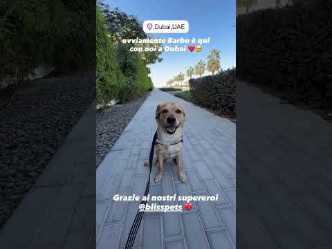 Anche Barbu qui con noi ❤️