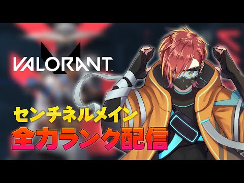 thumbnail__ZK2segaAVE