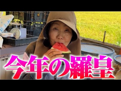 【おいしっ】種は食べません【羅皇】【大玉スイカ】