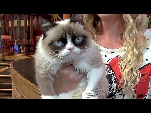 Grumpy Cat at Disneyland, meet-and-greet and interview for Disney Side event - UCYdNtGaJkrtn04tmsmRrWlw