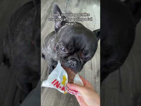 I almost lost my hand