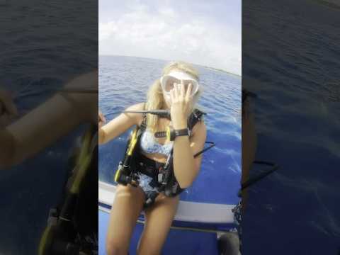 Incredible Marine Life Encounters In Real Life