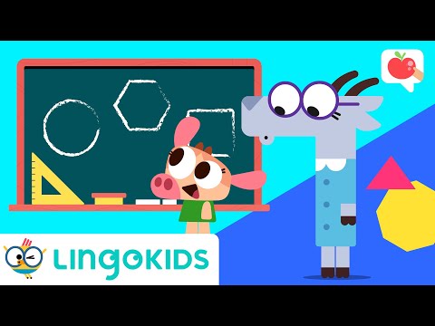 SHAPES for kids 🔵🔷💙 | VOCABULARY, SONGS and GAMES | Lingokids