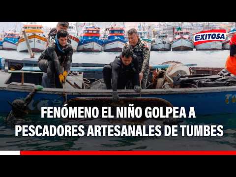 🔴🔵 Fenómeno El Niño golpea a pescadores artesanales de Tumbes