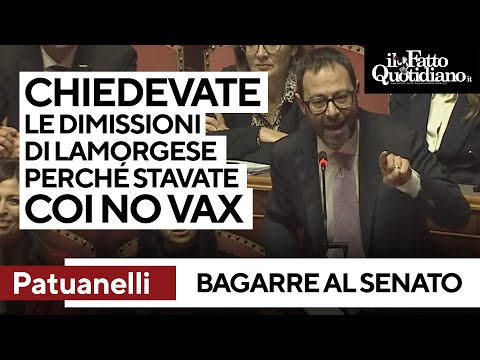 Bagarre al Senato, Patuanelli contro la maggioranza e gli urlano: "Non abbaiare"