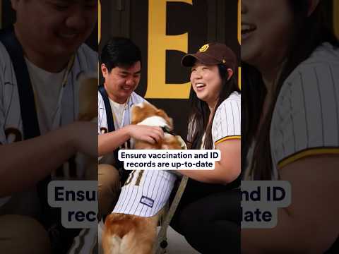 Preparing your pup for a large dog-friendly event? Check out our expert approved tips | #DogTraining