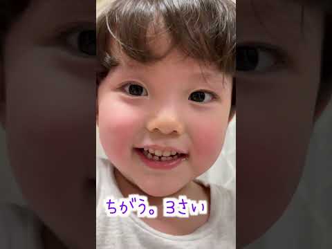 男の子です👦 #２さい #vlog  #かわいい #ゆうひなた