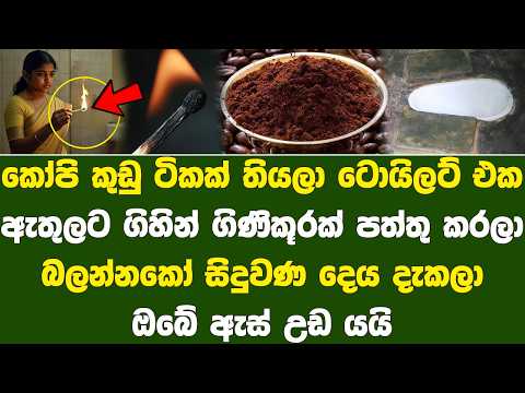 ටොයිලට් එක ඇතුලට ගිහින් ගිණිකූරක් පත්තු කරාම සිදුවන දෙයින් ඔබ පුදුම වෙයි | Ways to remove Bad smell