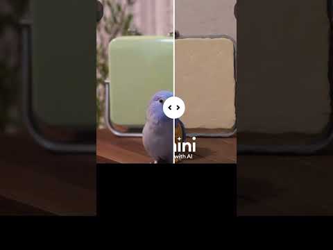ピッピさんを粘土加工してみた【マメルリハ】