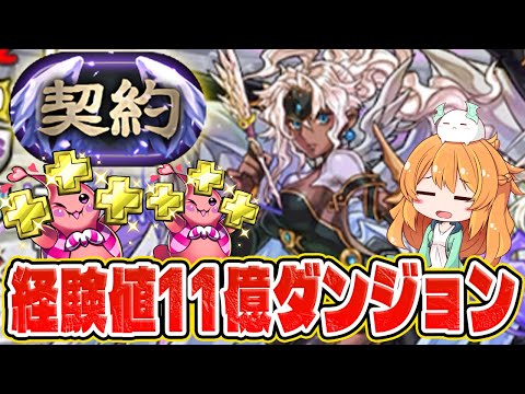 クリアで経験値11億貰える!?契約チャレンジ初登場!初見でクリア出来るのか...!?【パズドラ】