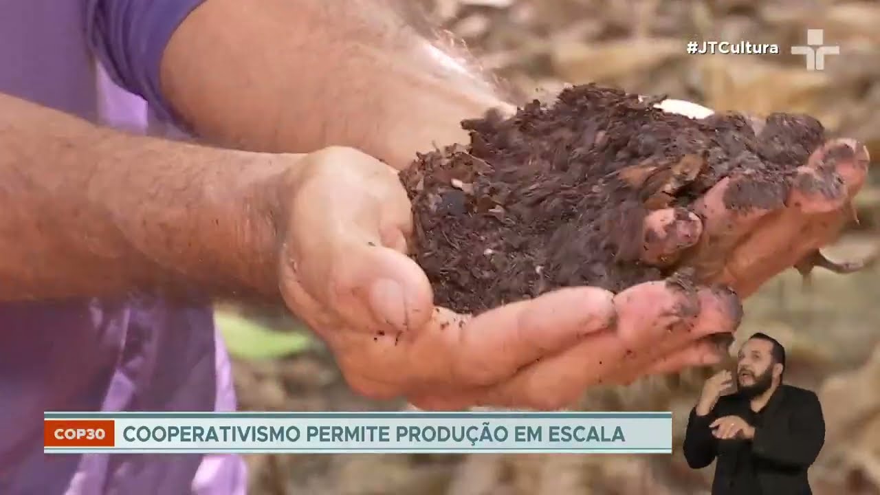 COP 30 agroecologia e cooperativismo impulsionam geração sustentável de renda