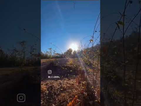 अभिमान मातीचा, अभिमान शेतकऱ्याचा ! हे बळीराजा, काळ्या आईची सेवा करणारा तू सगळ्या जगाचा पोशिंदा..🚩🌳🌍