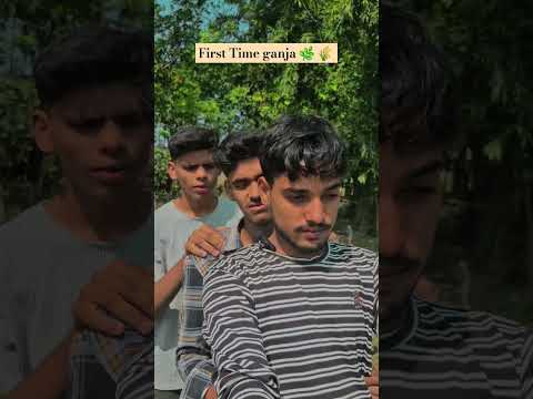 First Time Ganja 🌿 🌾 #shorts #funny #shortsvideo