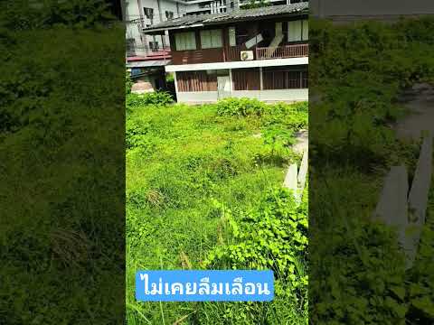 บรรยากาศบ้านสวน#เพลงเพราะๆ #คลายเครียด