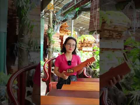 Tại sao sàn gỗ tự nhiên lại có nhiều kích thước?