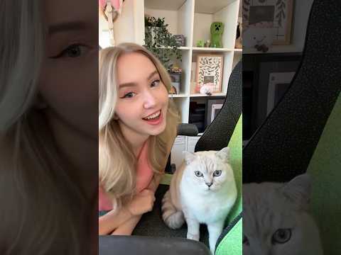 Gute Laune Tanz mit meiner Katze 🕺🏼